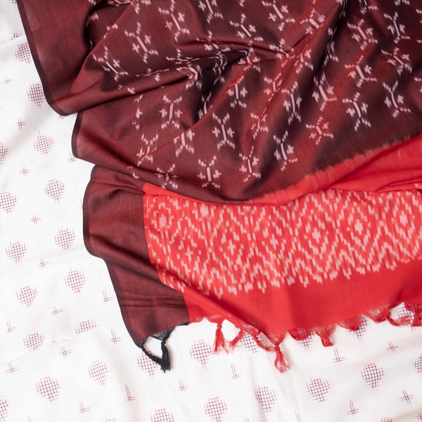 Rangratna Ikkat – Handloom Cotton Ensemble