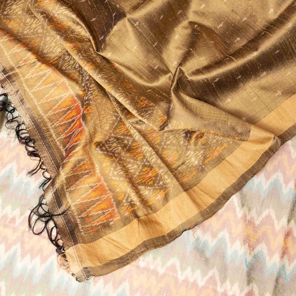 The Golden Weave of Ikkat