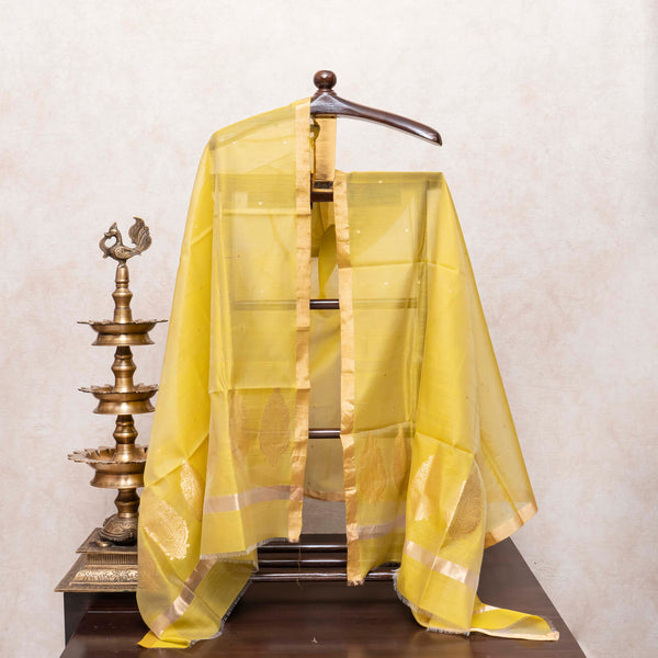 Rangrez Chanderi Silk Ensemble