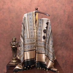 Tejalika – Handloom Cotton & Ajrakh Chanderi Grace