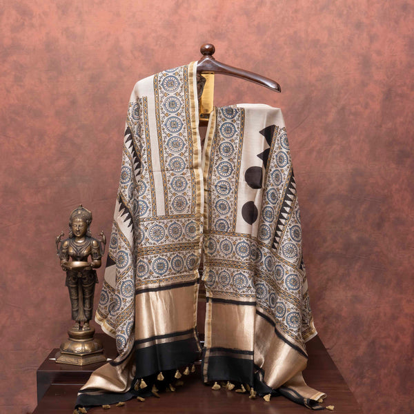 Tejalika – Handloom Cotton & Ajrakh Chanderi Grace